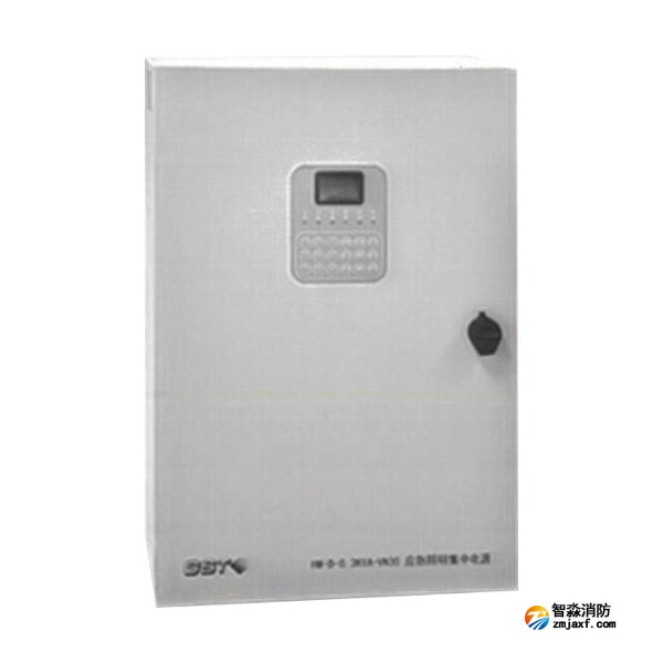 上海海灣HW-D-0.3KVA-VN30應(yīng)急照明集中電源（消防應(yīng)急燈具專用應(yīng)急電源）