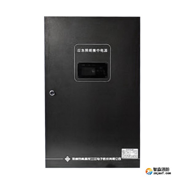 上海海灣SJ-D-0.6KVA/P601AC應(yīng)急照明集中電源 4回路 壁掛式
